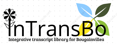 ITransLiB LOGO